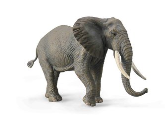 COLLECTA Slon africký