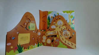 Co se děje v mraveništi