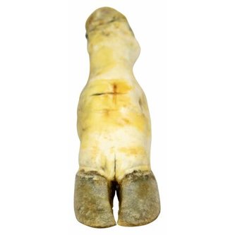 Hovězí noha bílá - 1 ks