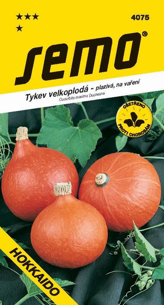 Tykev typ Hokkaido - Hokkaido orange 1,5g - série NEJ