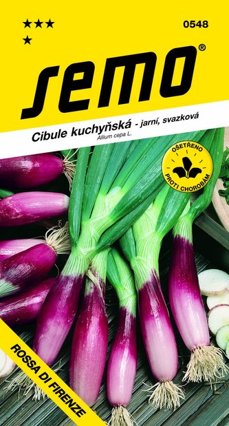 Cibule jarní - Rossa di Firenze červená svazková 2g