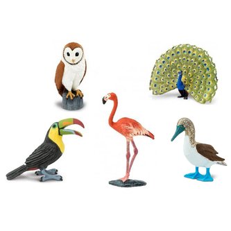 Ptáci (5 ks) Ptáci (5 ks)