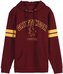 Pánská mikina Harry Potter: Nebelvírský lev (XL) červená bavlna