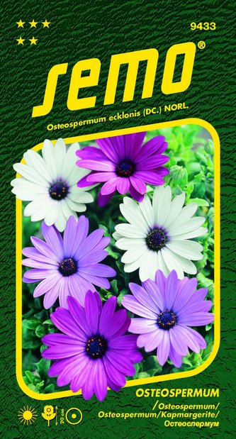 Osteospermum - směs Balade 0,30g Osteospermum - směs Balade 0,30g