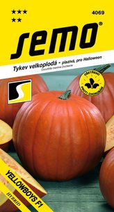 Tykev plazivá - Yellowboys F1 (Halloween) 3g