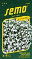 Lobelka kompaktní - bílá 0,25g