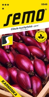 Cibule jarní - Karminka červená oválná  1,5g