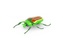 HEXBUG Real Bugs - Japonský brouk