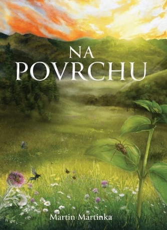 Na povrchu