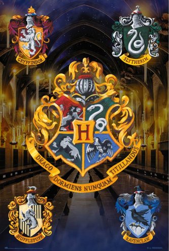 Plakát Harry Potter: Hogwarts (61 x 91,5 cm) 150 g