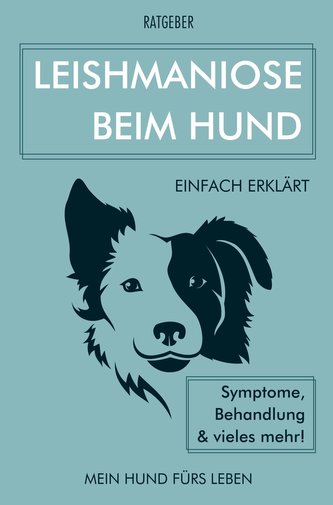 Leishmaniose beim Hund