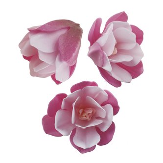 Cukrová jedlá kytka Magnolie 7cm 3ks - Dekora