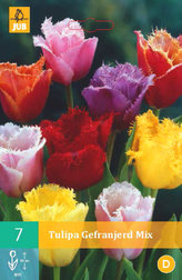 Karta - Tulipán - Fringed Mix (7 cibulí) "C"