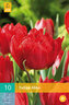 Karta - Tulipán - Abba (7 cibulí) "C"