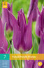 Karta - Tulipán - Purple Dream (7 cibulí) "B"
