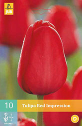 Karta - Tulipán - Red Impression (10 cibulí) "C"
