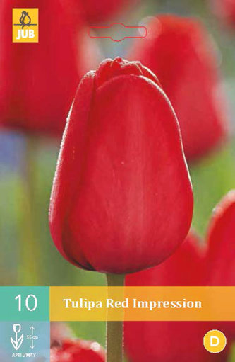 Karta - Tulipán - Red Impression (10 cibulí) "C"