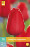 Karta - Tulipán - Red Impression (10 cibulí) "C"
