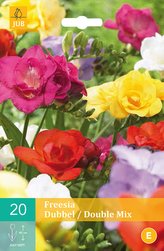 Karta - Frézie - Freesia Double Mix (20 cibulí) "C"