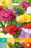 Karta - Frézie - Freesia Double Mix (20 cibulí) "C"