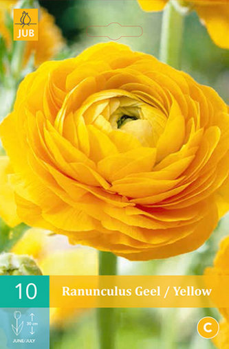 Karta - Pryskyřník - Ranunculus Yellow (10 cibulí) "B"
