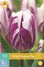 Karta - Tulipán - Flaming Flag (10 cibulí) "C"