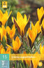 Karta - Krokus - Angustifolius (15 cibulí) "C"