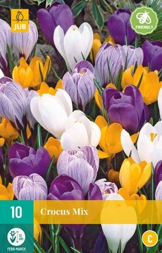 Karta - Krokus - Large Flowering Mix (10 cibulí) "C"