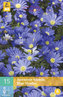 Karta - Sasanka - An.Bl. Blue Shades (15 cibulí) "B"