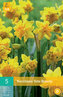 Karta - Narcis - Tete Bouclé (5 cibulí) "B"