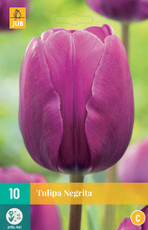 Karta - Tulipán - Negrita (10 cibulí) "C"
