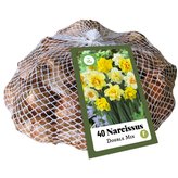 Síťka - XXL - Narcis Double Mix (40 cibulí)