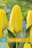 Karta - Tulipán - Candela (10 cibulí) "C"