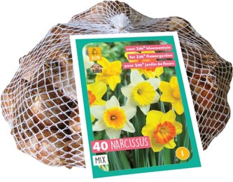 Síťka - XXL - Narcis Large Cupped Mix (40 cibulí)