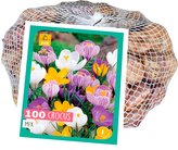 Síťka - XXL - Crocus Mix (60 cibulí)