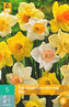 Karta - Narcis - Large Cup Mix (5 cibulí) "B"