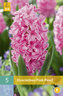 Karta - Hyacint Single - Pink Pearl (5 cibulí) "C"