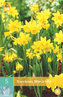 Karta - Narcis - Tete a Tete (5 cibulí) "B"