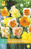 Karta - Narcis - Butterfly Mix (5 cibulí) "C"