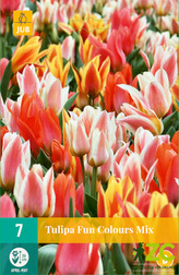 Karta - Tulipán - Fun Colours (7 cibulí) "B"