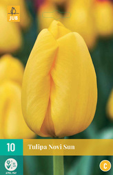 Karta - Tulipán - Novi Sun (10 cibulí) "C"