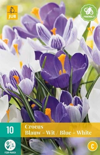 Karta - Krokus - Blue-White mix (10 cibulí) "C"
