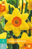 Karta - Narcis - Red Devon (5 cibulí) "B"