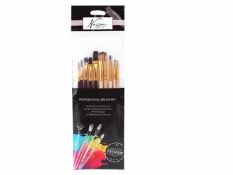 Štětce profesionální sada 10 ks