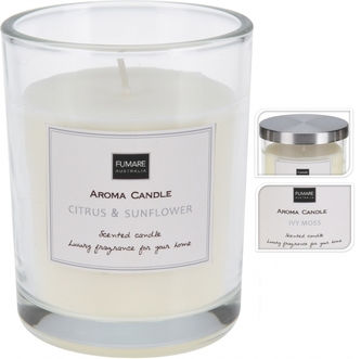 Vonná svíce ve skle 9,8x8 cm Ivy moss