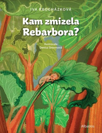 Kam zmizela Rebarbora? Kam zmizela Rebarbora?