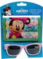 SOUPRAVA BRÝLE A PENĚŽENKA MINNIE