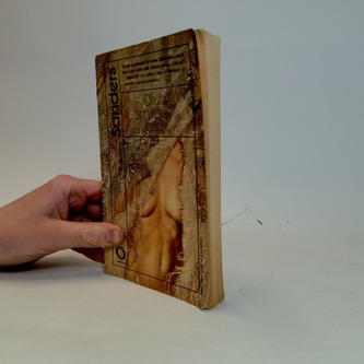 Druhý smrtelný hřích