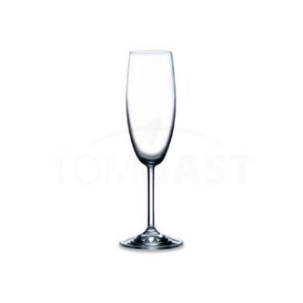 Sklenice na šampaňské 17,5 cl