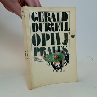 Opilý prales